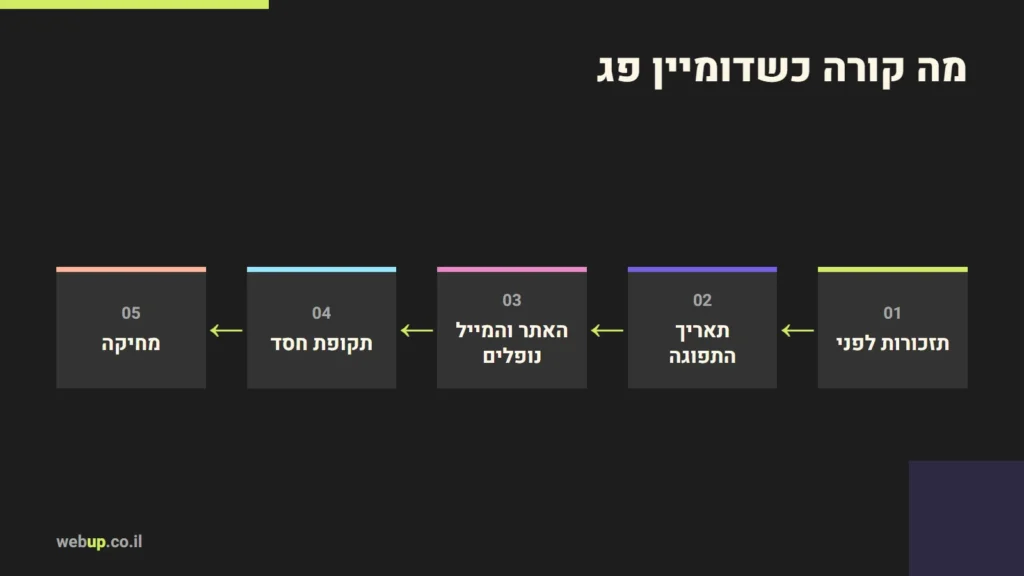 תרשים: מה קורה כשדומיין פג