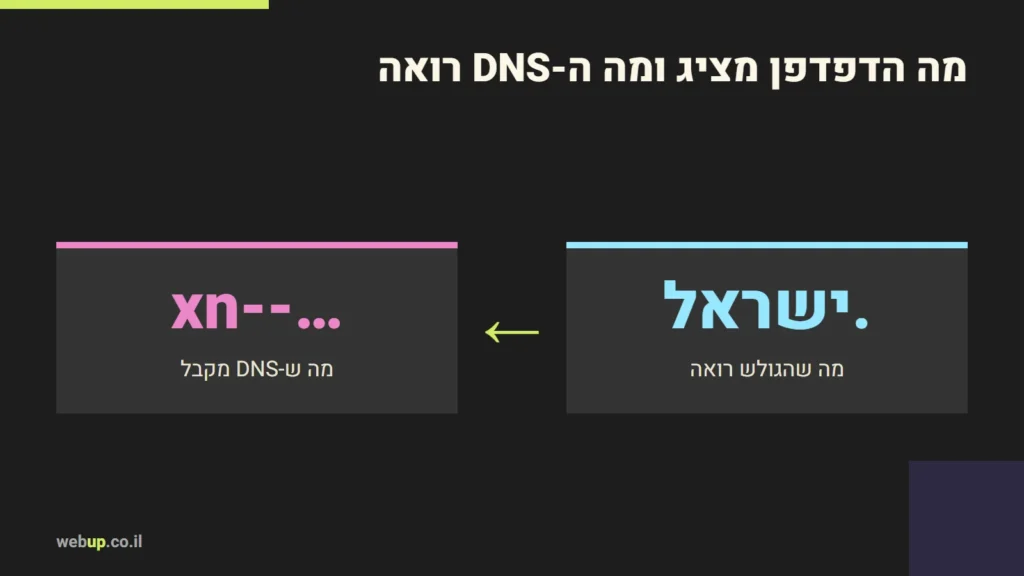 תרשים: מה הדפדפן מציג ומה ה-DNS רואה