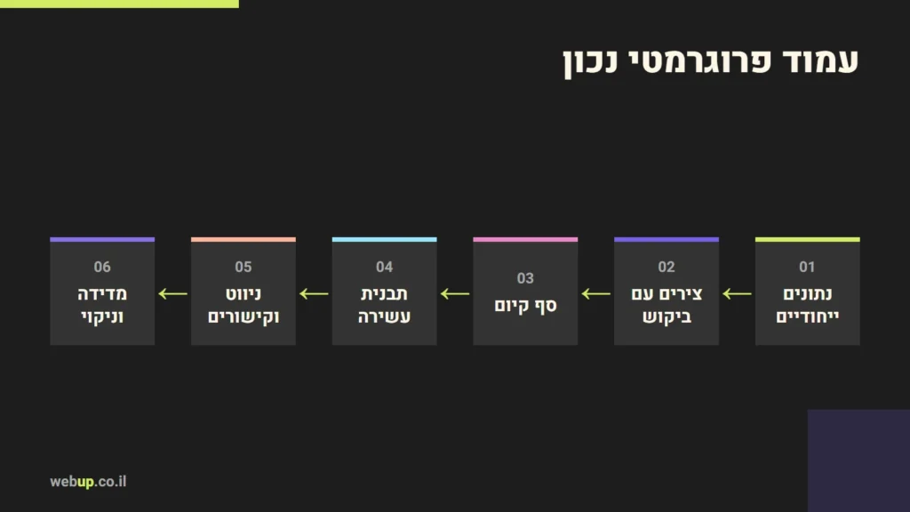 תרשים: עמוד פרוגרמטי נכון