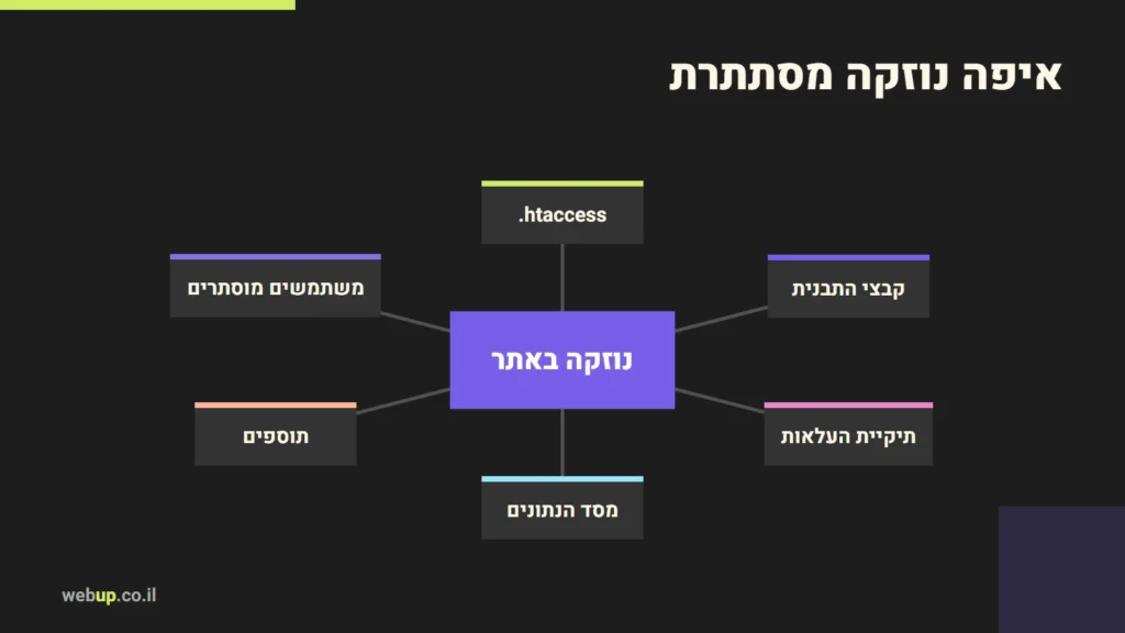 תרשים: איפה נוזקה מסתתרת