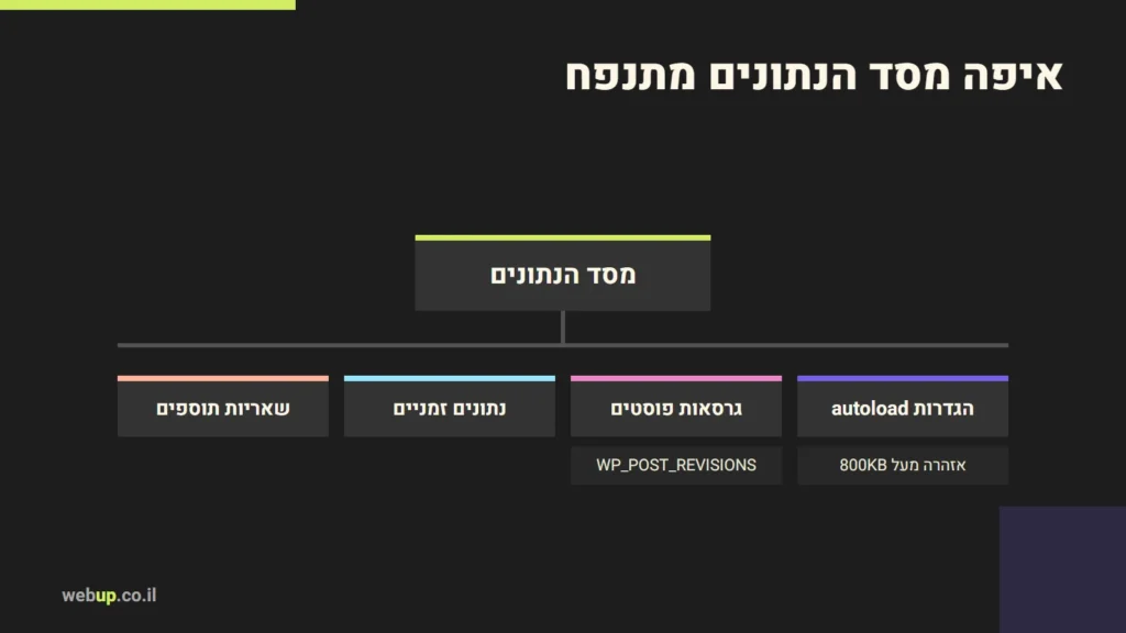 תרשים: איפה מסד הנתונים מתנפח