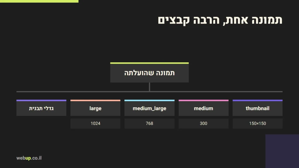 תרשים: תמונה אחת, הרבה קבצים